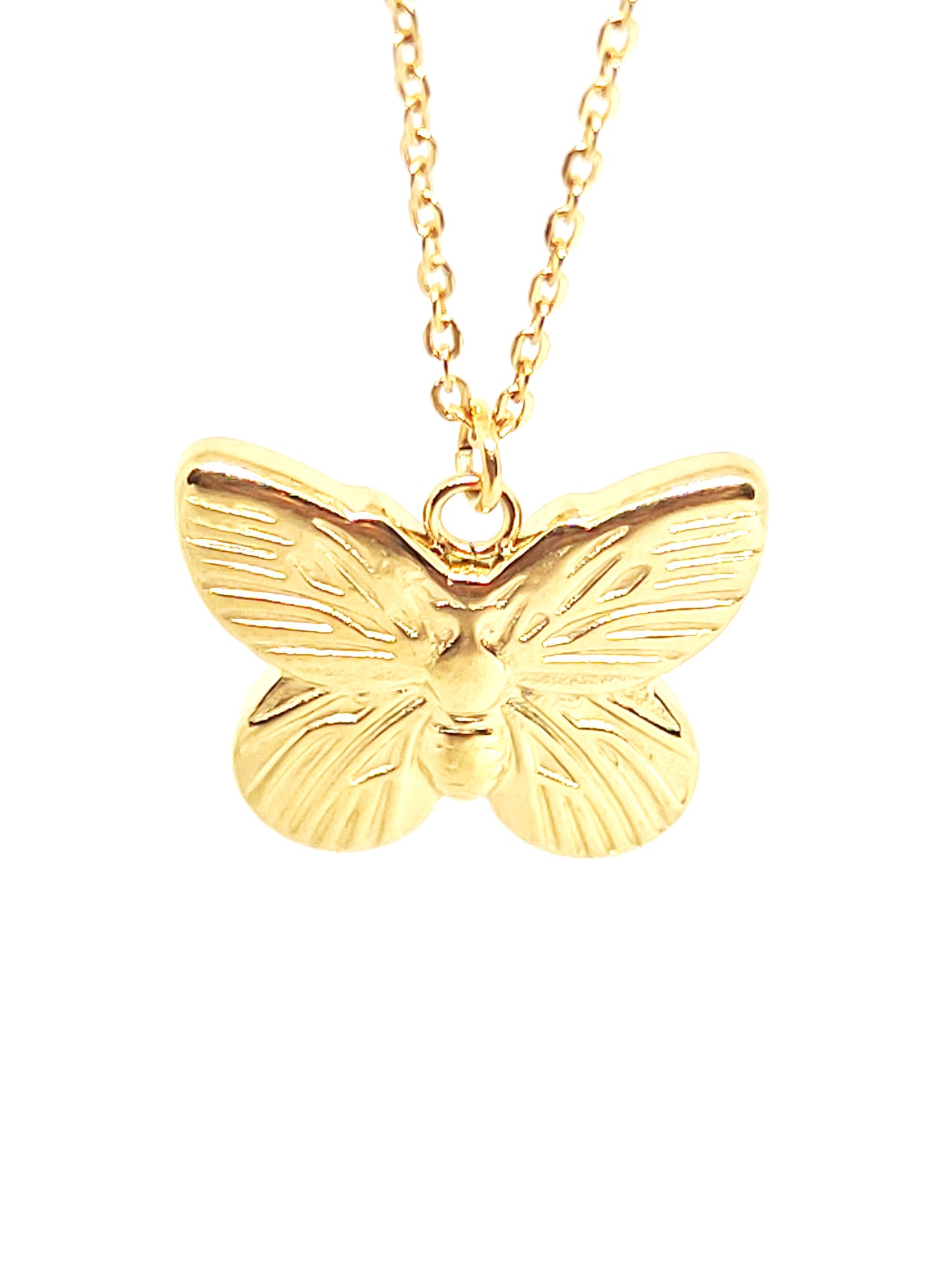 mariposa del collar dorado con cadena