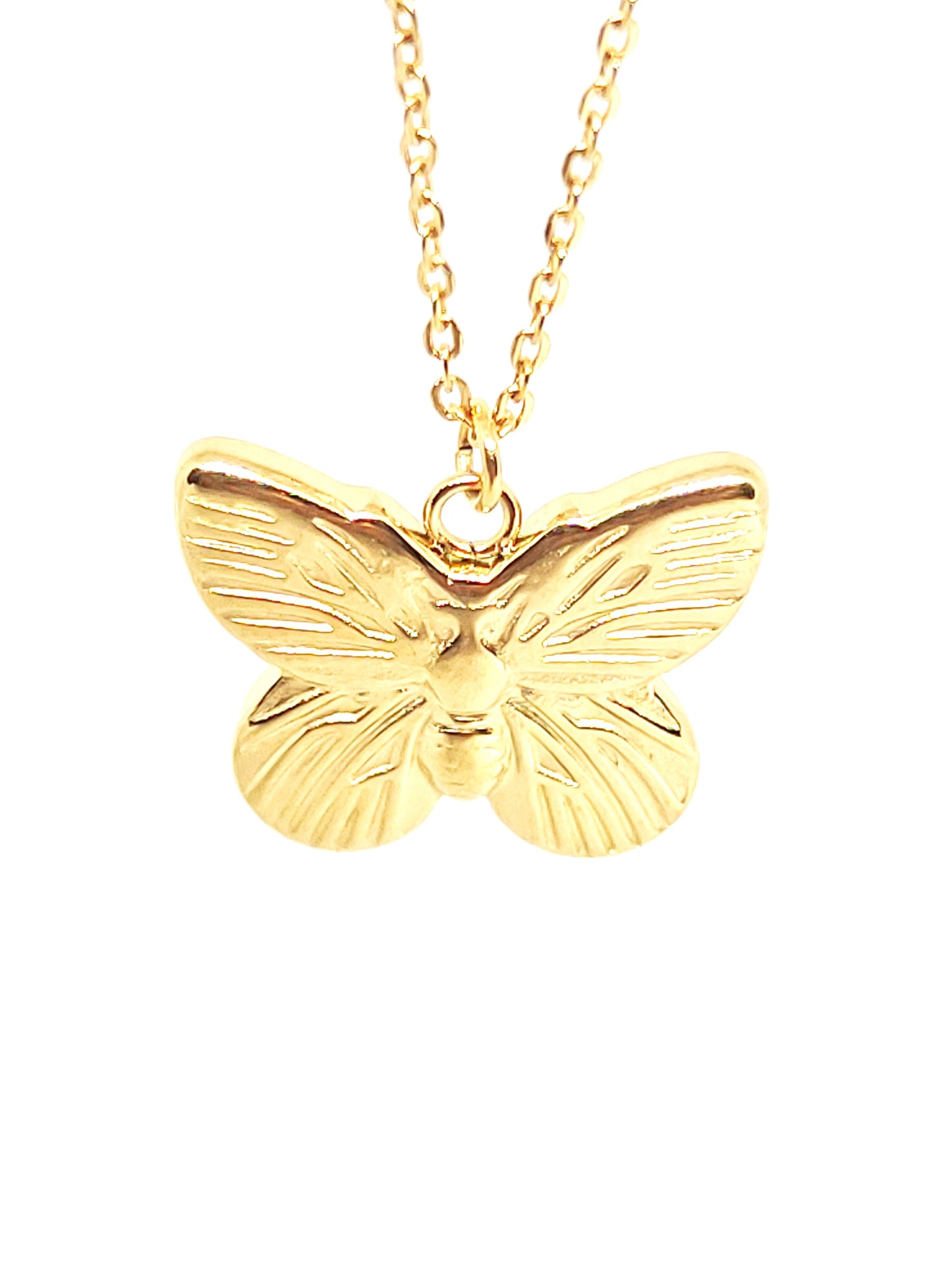  mariposa del collar dorado con cadena